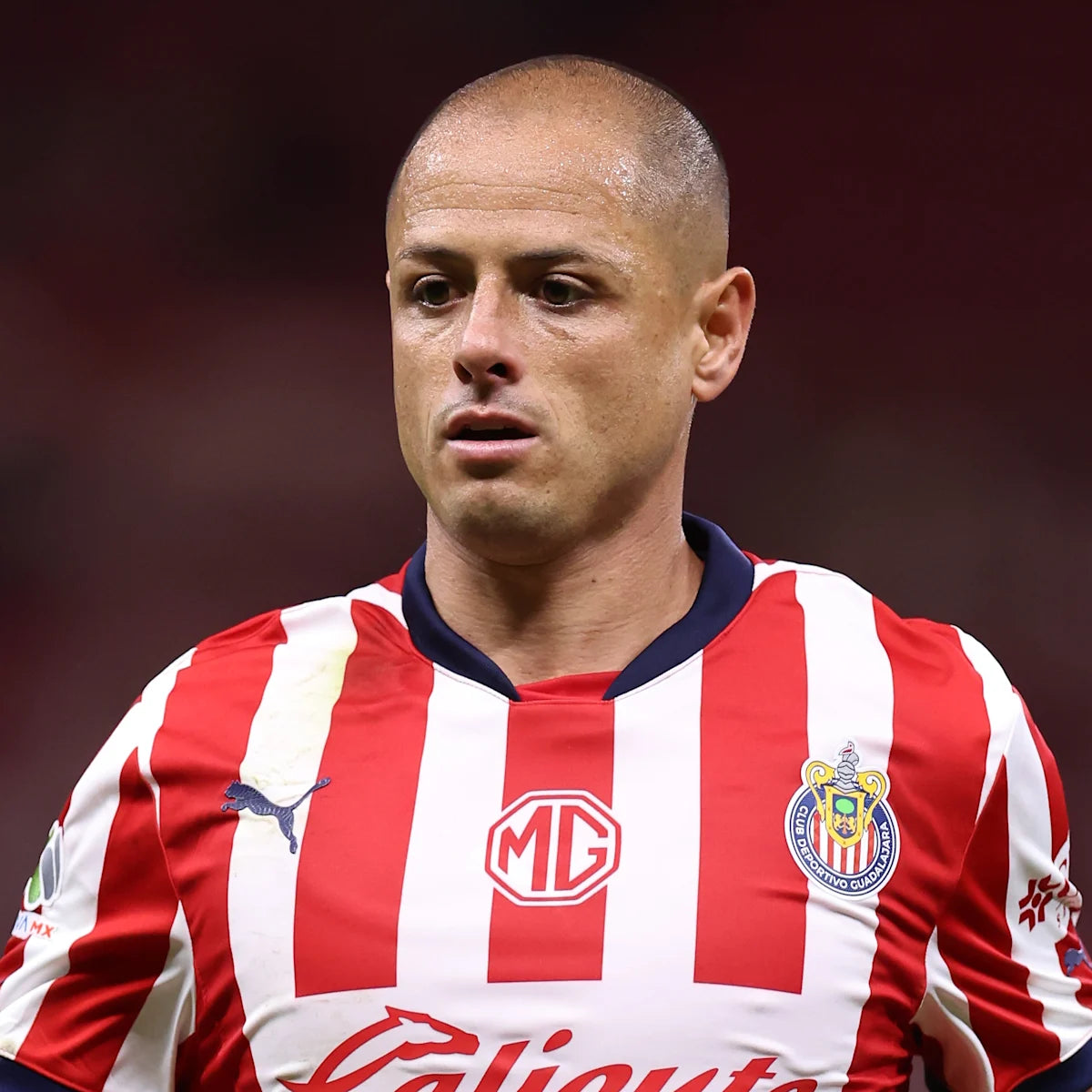 Javier Hernández